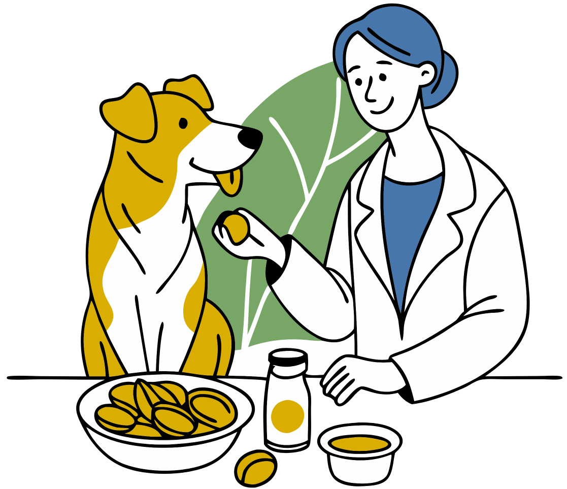 researcher evaluating dog supplements with dog illustration