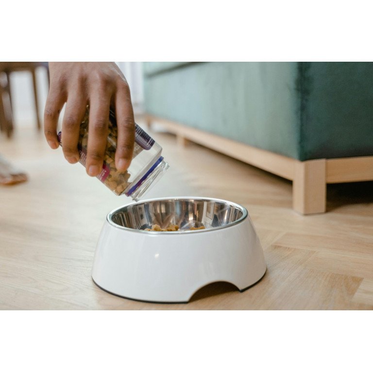 introduce dog supplements hand adding supplement pieces into dog food bowl